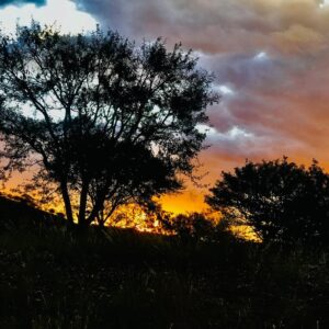Daan Viljoen Game Drive Safari - savannah sunset near Daan Viljoen Nature Reserve, Windhoek