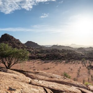 Sunset over rocky desert hills and camelthorn tree in Damaraland, Namibia
