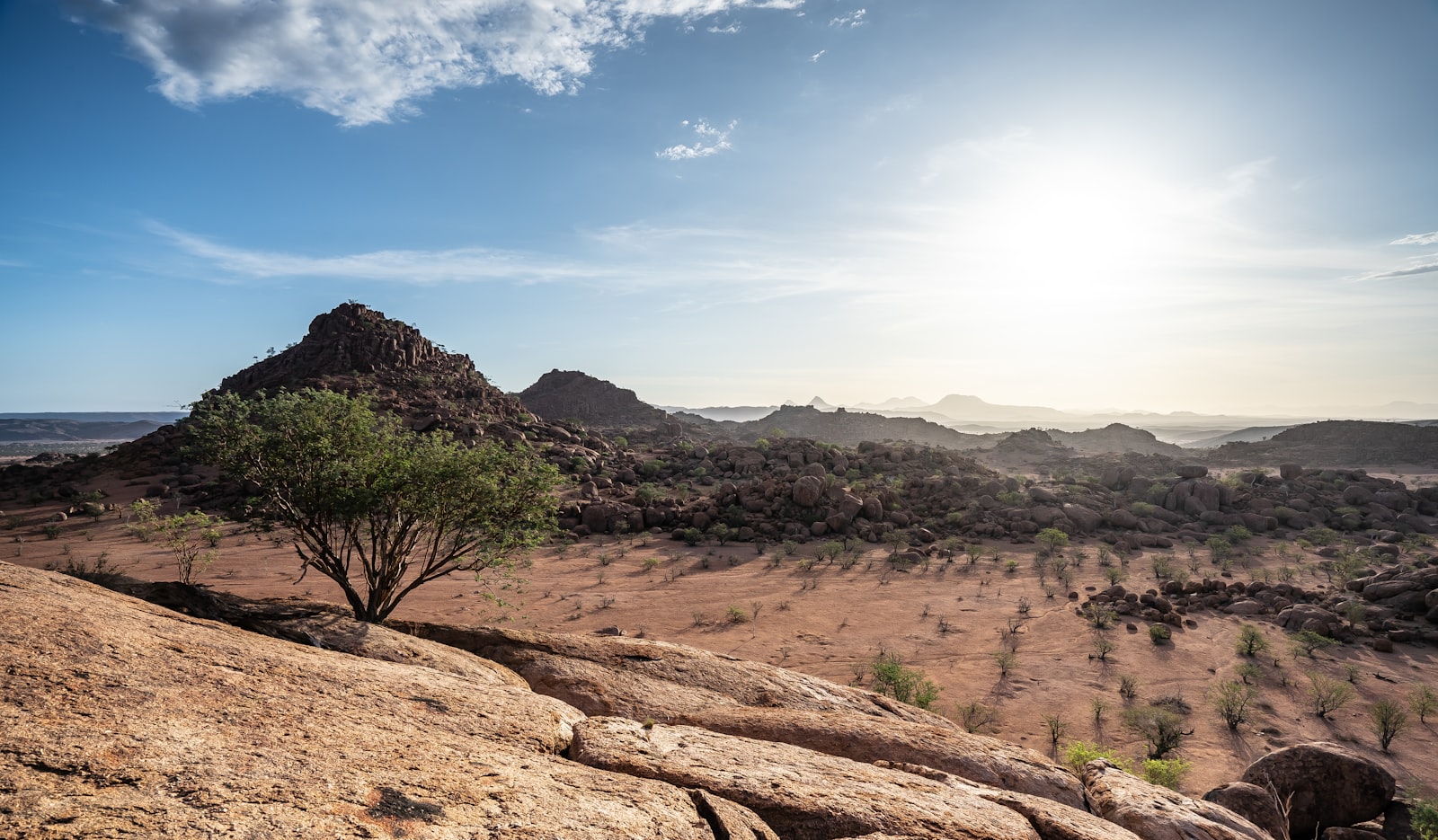 Sunset over rocky desert hills and camelthorn tree in Damaraland, Namibia