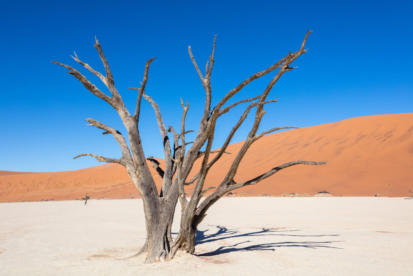 Sossusvlei, Namibia