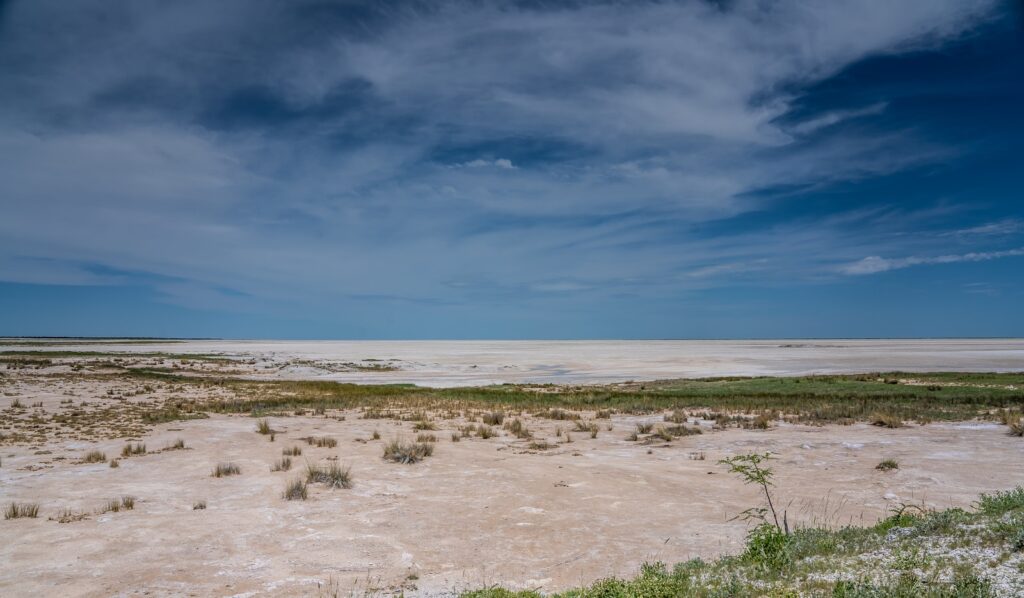 Wide view of the Etosha Pan grassland margin under a blue sky, Etosha and Central North region