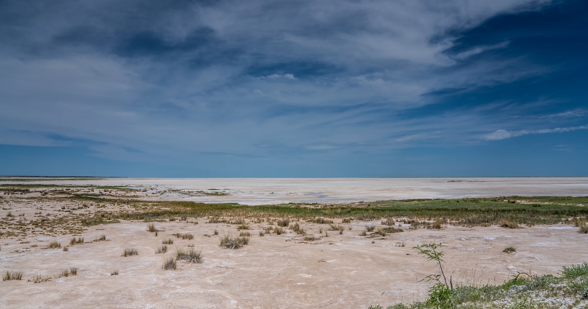 Etosha and Central North