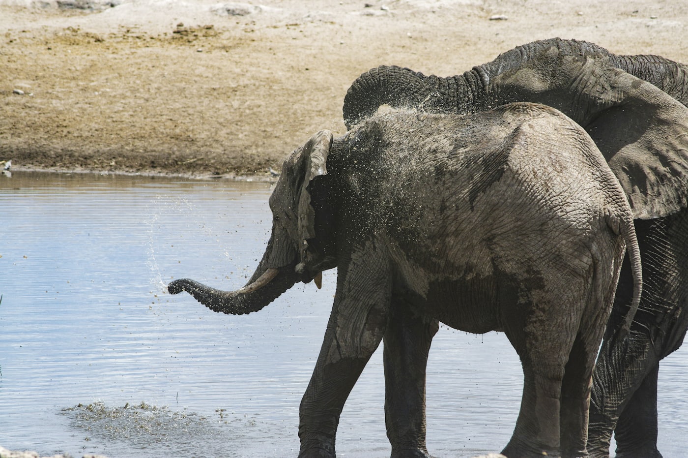 Etosha and the North