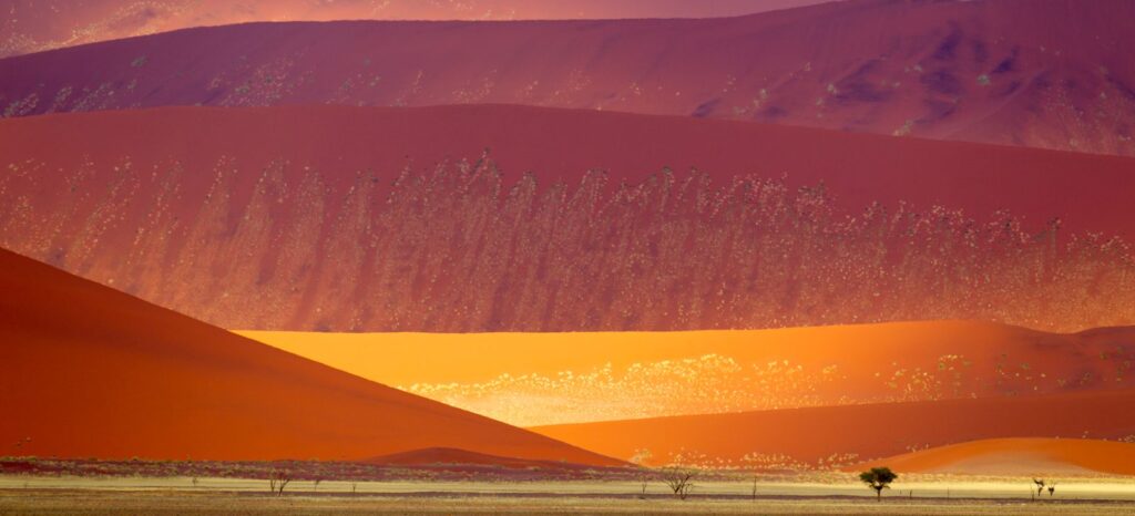 Dunas do deserto do Namibe perto de Swakopmund, Namíbia