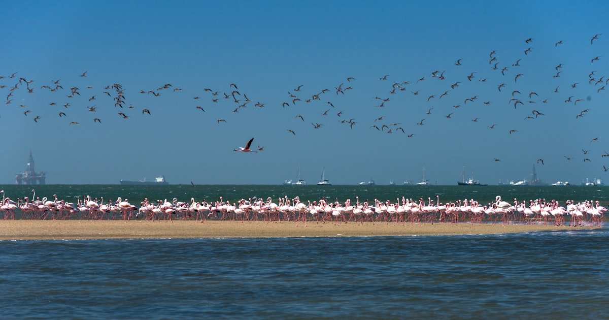 Namibia Coast