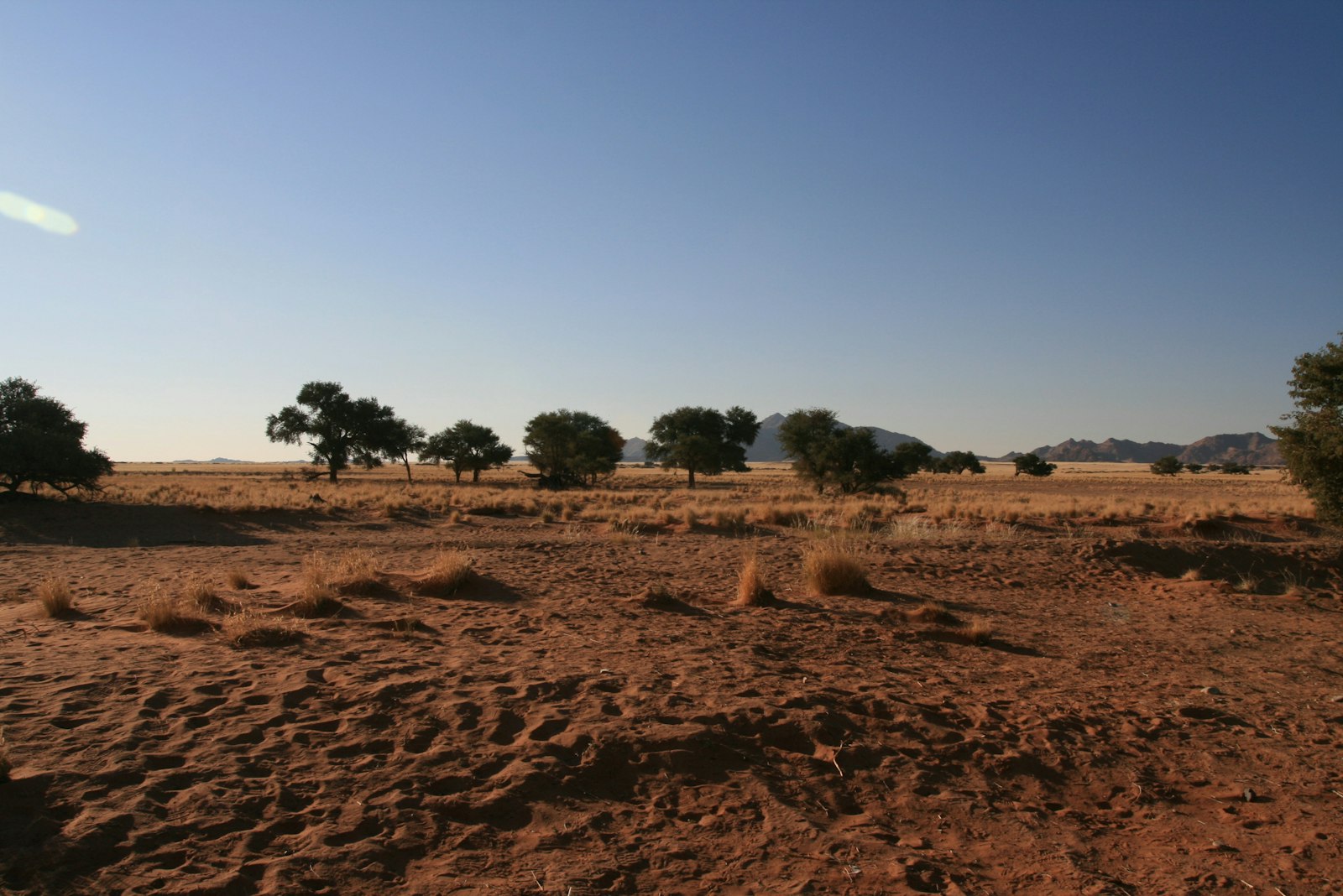 Dry-season savanna landscape in Namibia