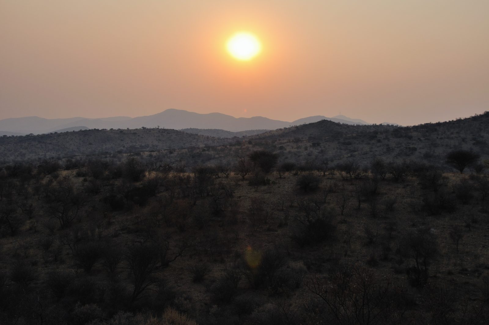 Sunset over acacia scrub and distant hills in the Namibian bush