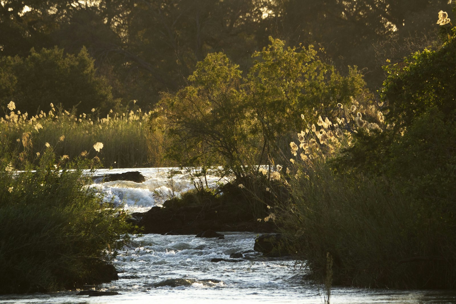Popa Falls rapids on the Kavango River, Namibia