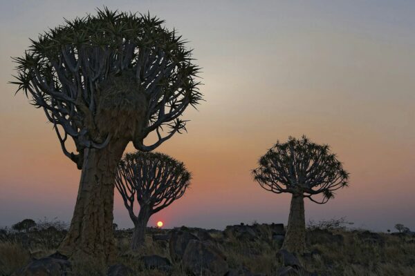 southern Namibia, Namibia - location context, not a photograph of Cathees Bed and Breakfast