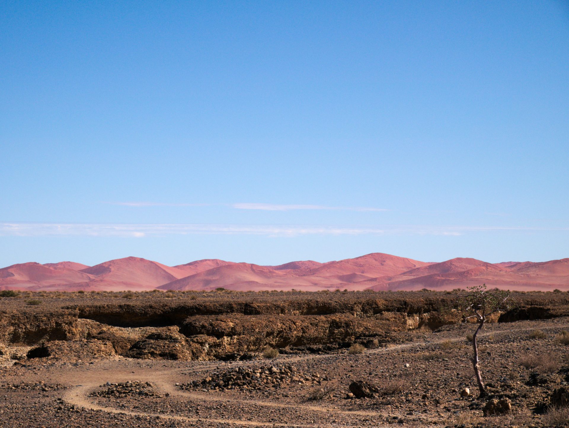 Le rebord du Sesriem Canyon avec les dunes rouges du Namib au loin