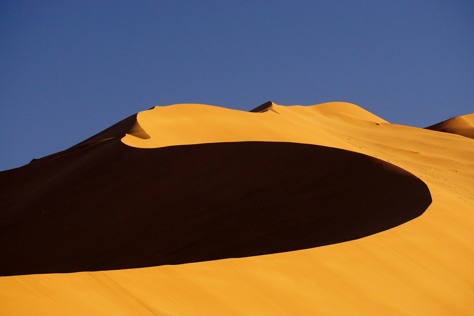 Red sand dunes of the Namib Desert, Namibia