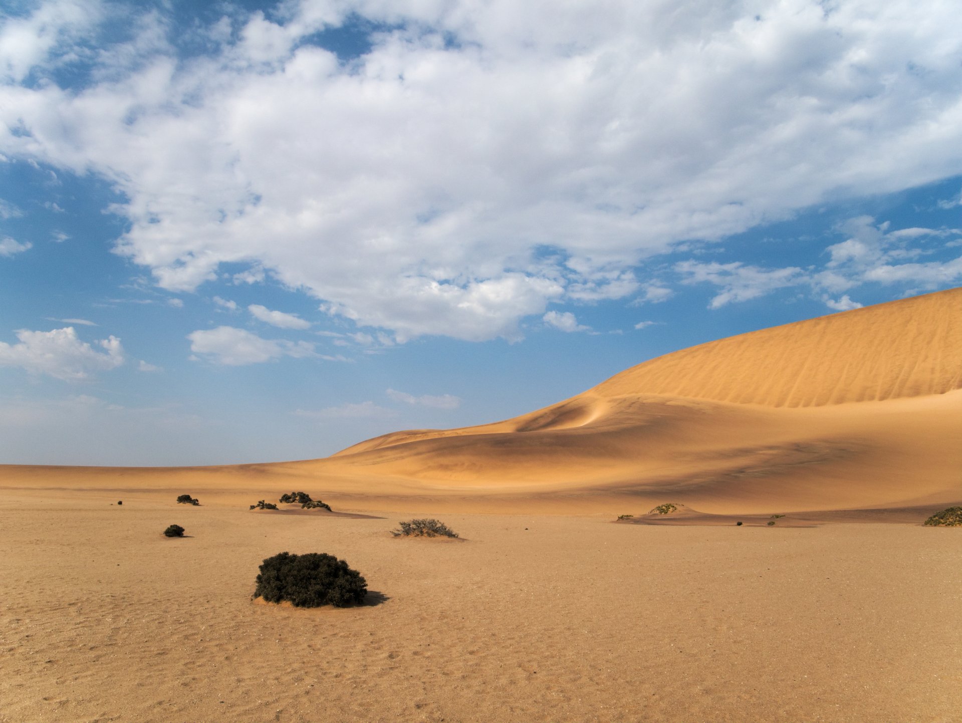 Dune landscape near Swakopmund, Namibia