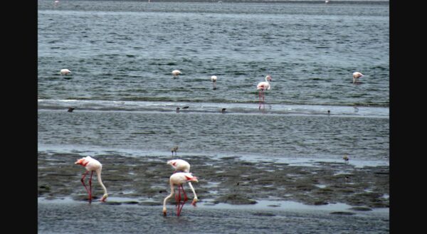 Walvis Bay, Namibia - location context, not a photograph of Casa Mia Hotel