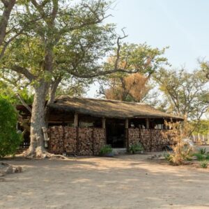 Aabadi Mountain Camp: camp building among the trees