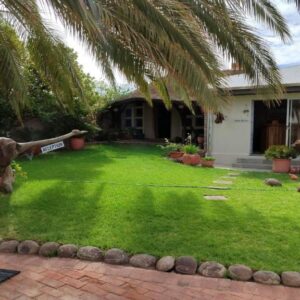 Birds Nest Guest House: guest house and garden with palm tree