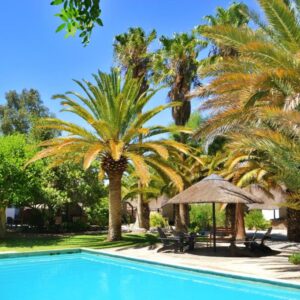 Central Hotel Omaruru: swimming pool and palms