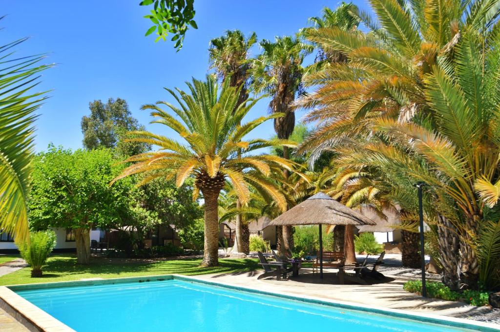 Central Hotel Omaruru: swimming pool and palms