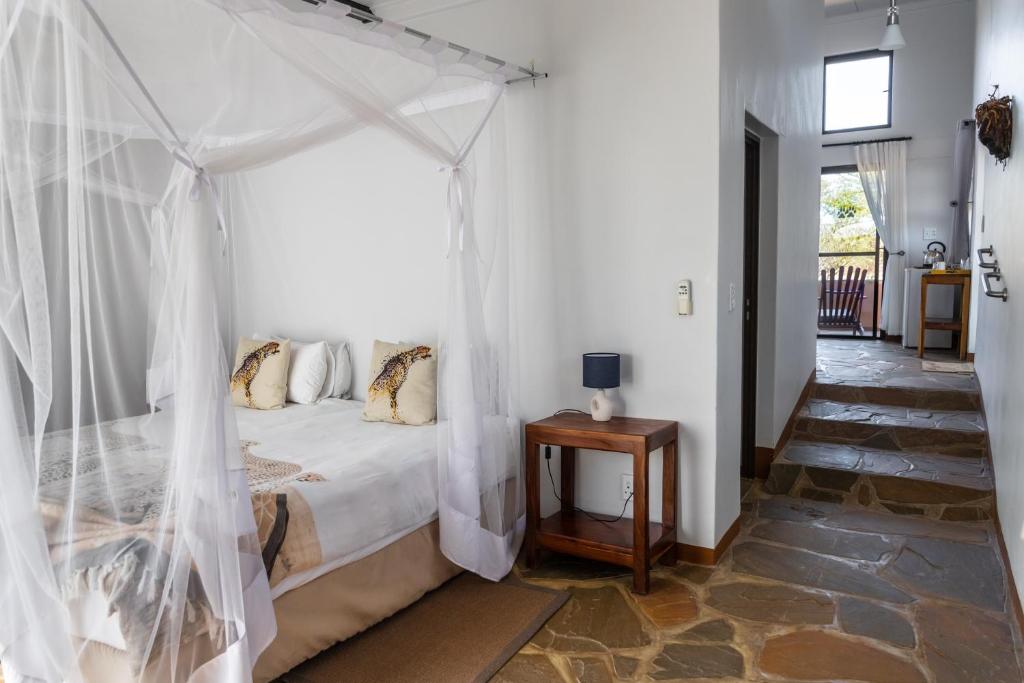Cheetah View Lodge at Cheetah Conservation Fund, accommodation in the Waterberg and Otjozondjupa area, Namibia