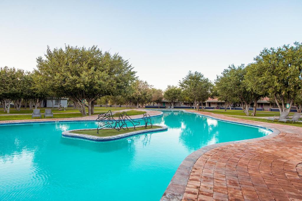 Damara Mopane Lodge: swimming pool in the lodge gardens