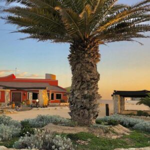 Desert Breeze Lodge Swakopmund: lodge building with palm tree