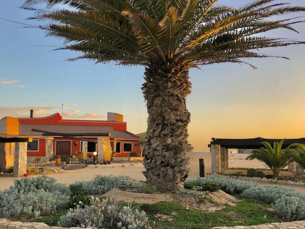 Desert Breeze Lodge Swakopmund: lodge building with palm tree