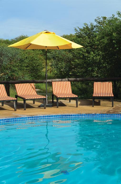 Etosha Safari Campsite: swimming pool and shaded seating