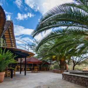 Etusis Lodge: lodge terrace with palms