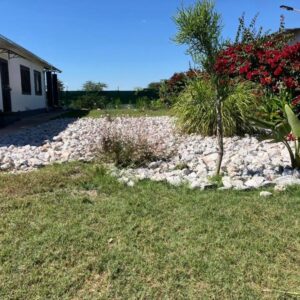 F2 Homestead: homestead exterior and garden