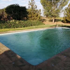 Hippo Farm Apartment: swimming pool in the garden