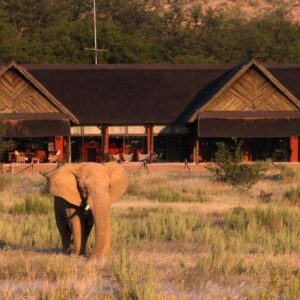 Hobatere Lodge: elephant at the lodge waterhole in front of the buildings