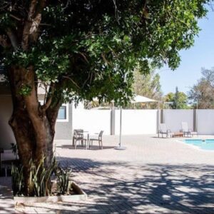 Joas Sanctuary Bed and Breakfast, Windhoek — arbre au bord de la piscine