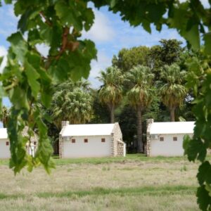 Kalahari Farmhouse Campsite: campsite units among the palms