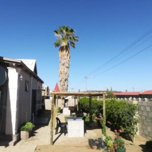 Keetmanshoop Self-catering: property frontage with palm tree