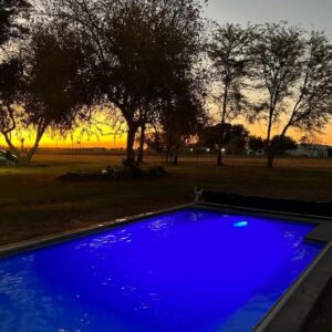 Koha Guesthouse: swimming pool in the garden
