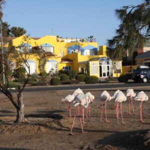 Lagoon Lodge, accommodation in Walvis Bay, Namibia