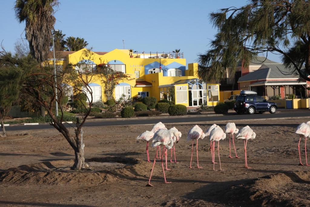 Lagoon Lodge, accommodation in Walvis Bay, Namibia