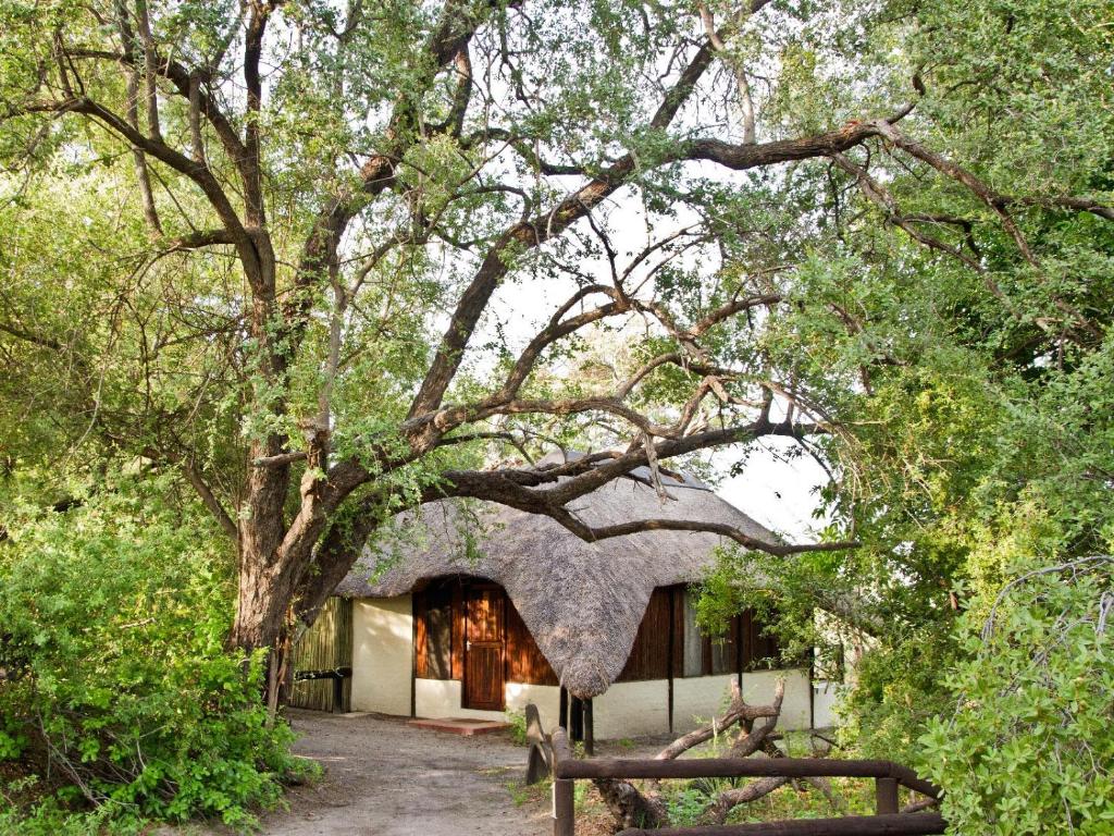 Lianshulu Bush Lodge: l'edificio del lodge con tetto di paglia sotto gli alberi