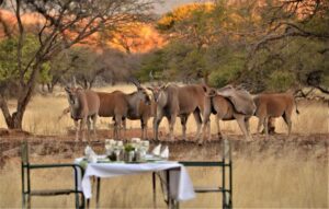 Ohange Namibia Lodge, alojamiento cerca de Otavi, Namibia