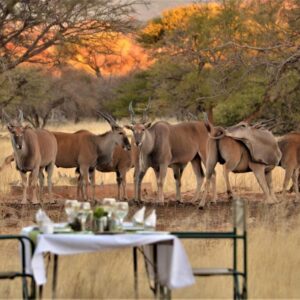 Ohange Namibia Lodge, accommodation near Otavi, Namibia
