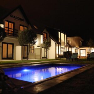 Olive Tree Boutique Guesthouse Swakopmund: swimming pool and house at night