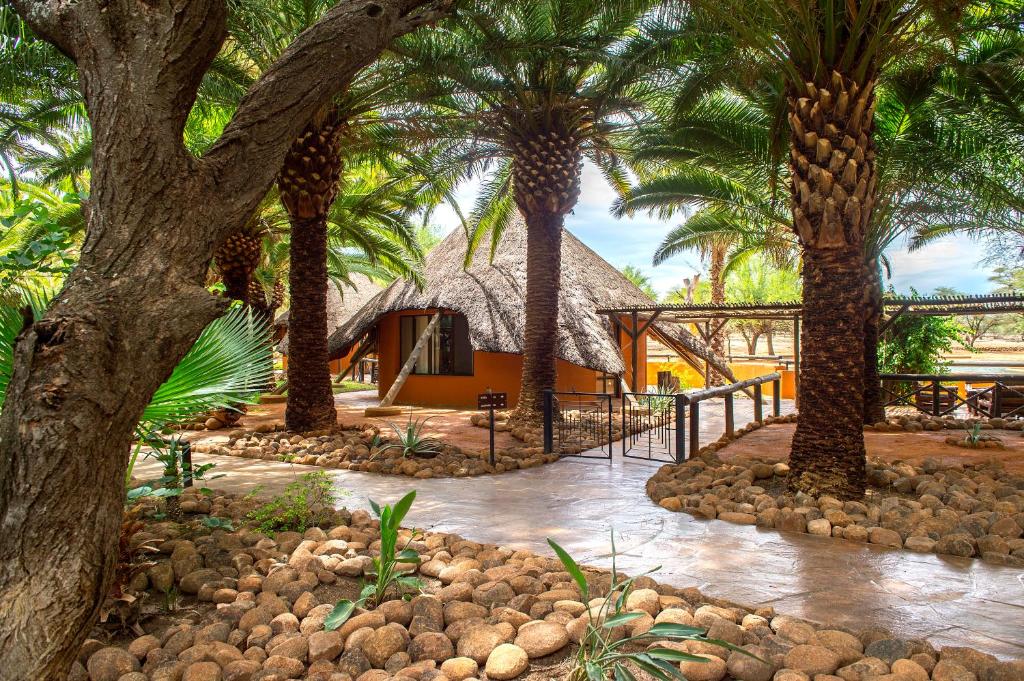 Omaruru Game Lodge: lodge buildings and palms