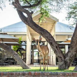 Otjibamba Lodge, accommodation in the Waterberg and Otjozondjupa area, Namibia