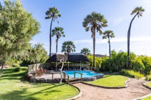 Palmwag Lodge: piscina e palmeiras no lodge