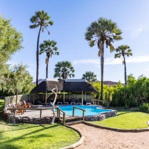 Palmwag Lodge: swimming pool and palms at the lodge