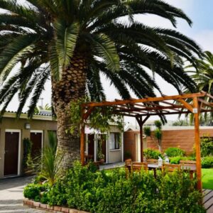 The Mole Guesthouse Swakopmund: guesthouse frontage with palm tree