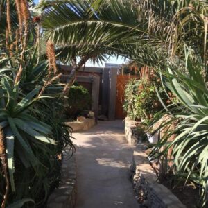 Tranquility Self Catering Luderitz: garden pathway at the property