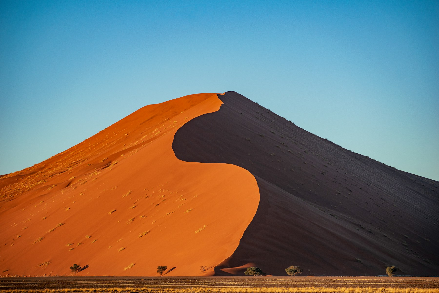 Sesriem Gate and Camp near the towering Namib dunes