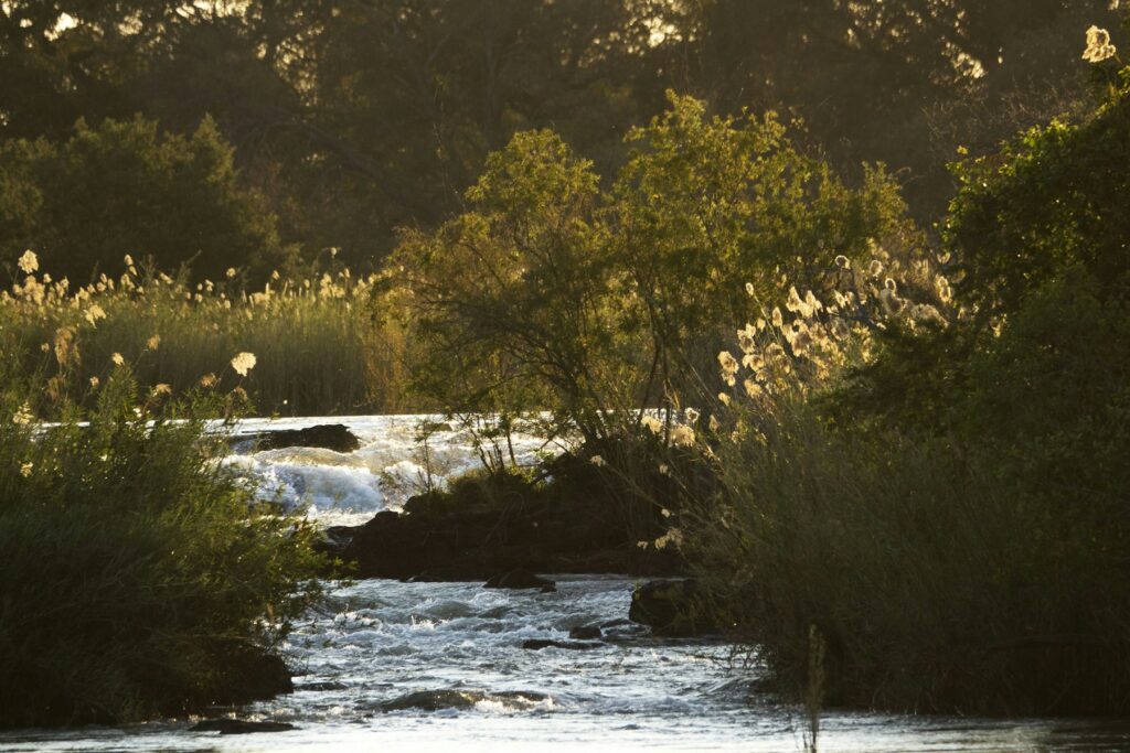 Rundu stop beside a sunlit river landscape in north-east Namibia