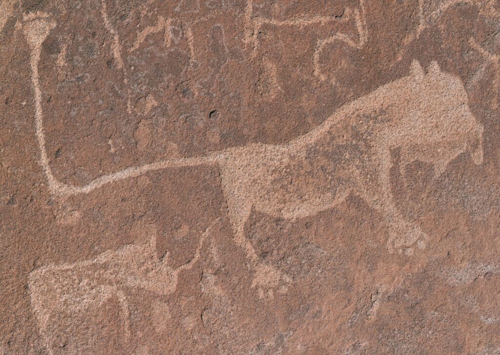 Namibian rock art showing ancient animal engravings