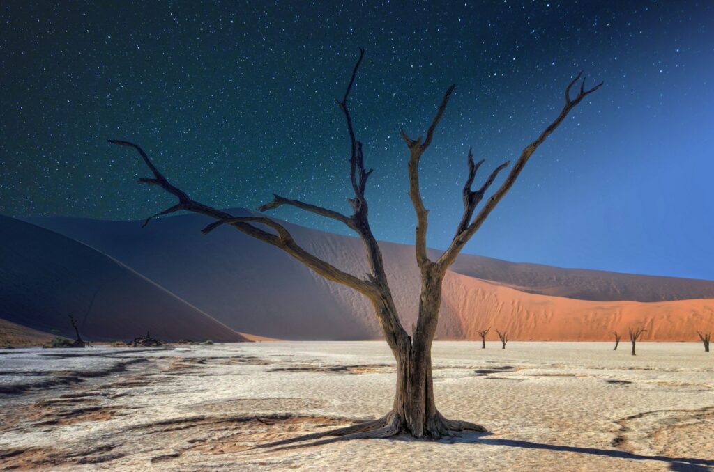 Namibia stargazing beneath a dark desert sky